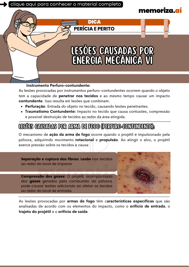 Captura de tela 2025-12-22 134221