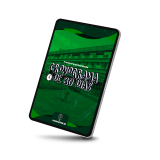 MOCKUP PREF UDIA CRONOGRAMA