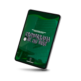 mockup mprs cronograma ma